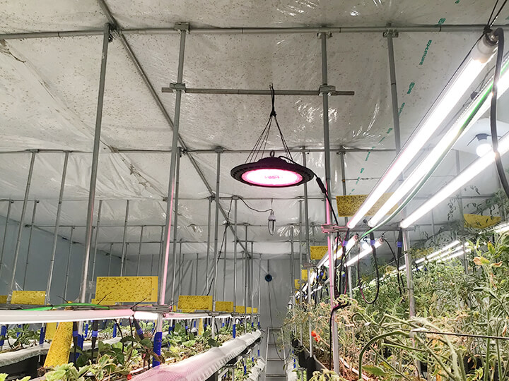 150W 育成促進型LED